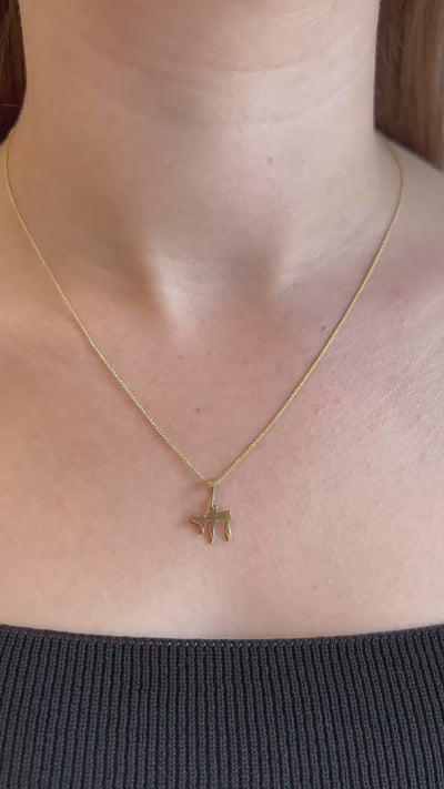 שרשרת זהב עם תליון חי גדול
